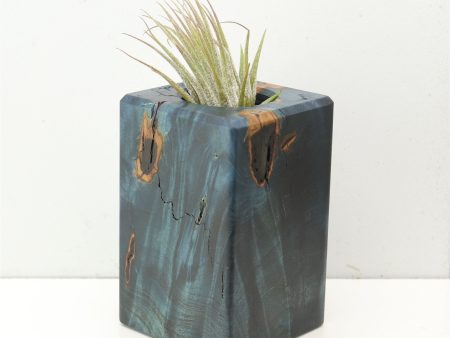 Wood Burl  Air Plant Holder - Romeo (Wood Burl, 686377) Supply