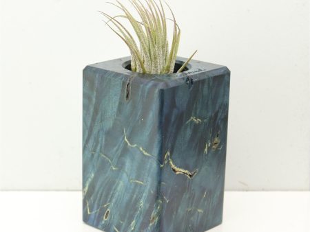 Wood Burl  Air Plant Holder - Kinsley (Wood Burl, 686376) Online Hot Sale