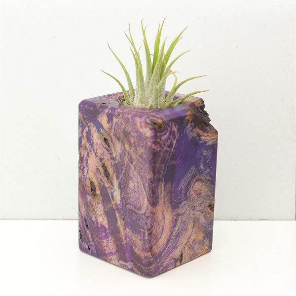 Wood Burl  Air Plant Holder - Brendon (Wood Burl, 686762) For Sale