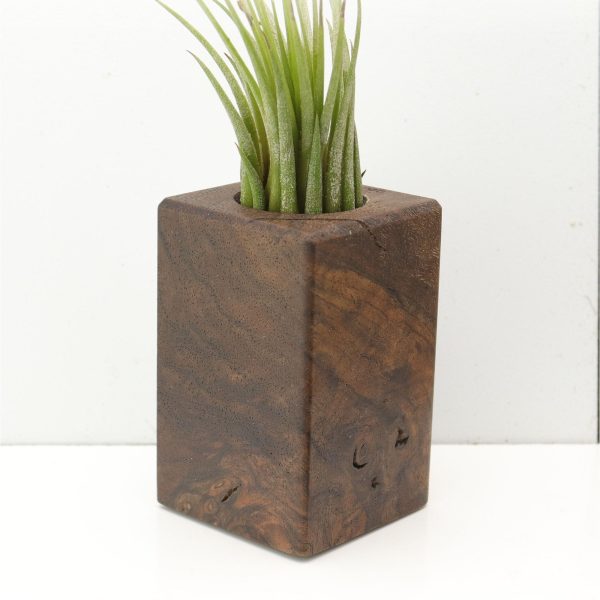 Wood Burl  Air Plant Holder - Yasmin (Wood Burl, 685236) Discount