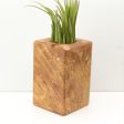 Wood Burl  Air Plant Holder - Ashley (Wood Burl, 685258) Online Sale