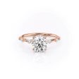 The Hidden Halo Penelope Set With A 5 Carat Round Moissanite Online