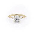 The Hidden Halo Penelope Set With A 2 Carat Round Moissanite Cheap