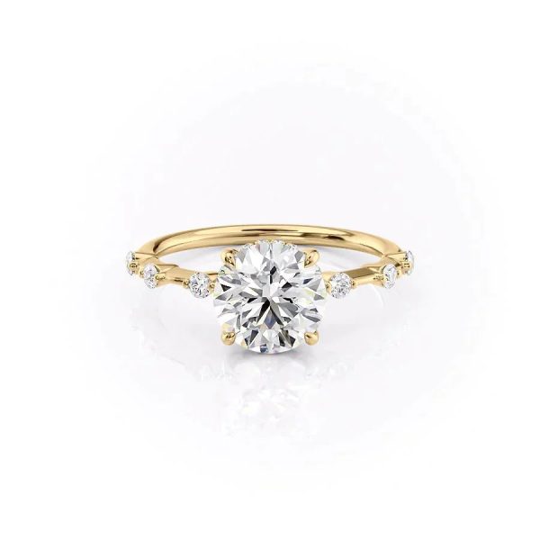 The Hidden Halo Penelope Set With A 2 Carat Round Moissanite Cheap