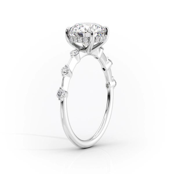 The Hidden Halo Penelope Set With A 1 Carat Round Moissanite Cheap