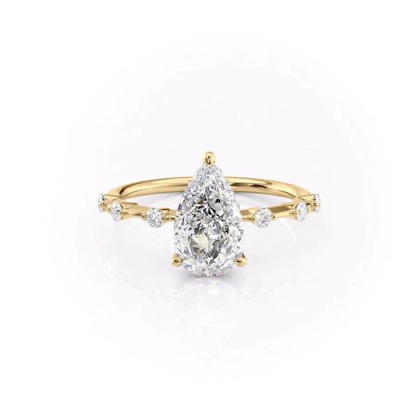 The Hidden Halo Penelope Set With A 1 Carat Pear Moissanite Online Hot Sale