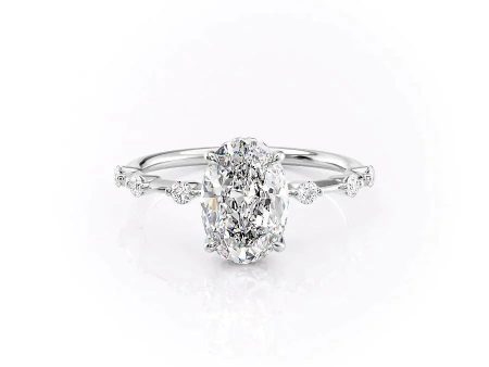 The Hidden Halo Penelope Set With A 4.5 Carat Oval Moissanite Hot on Sale